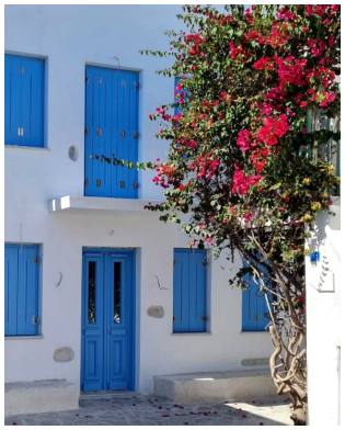 Naxos Wood